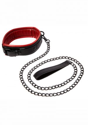 Saffron Collar And Leash Black