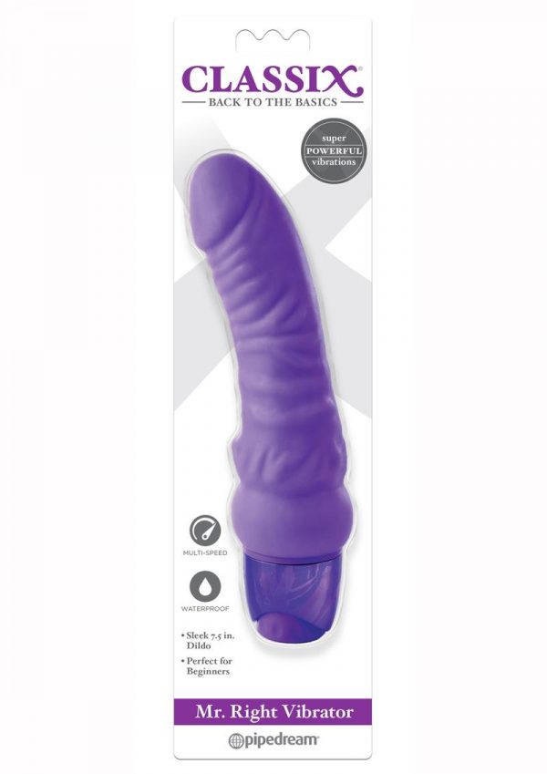 Mr Right Vibrator Purple Waterproof Multi Speed